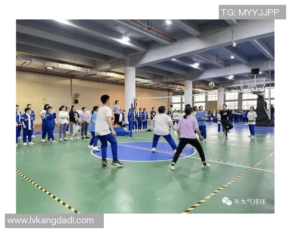 杭州排球队战术表现深度分析与数据解读探讨